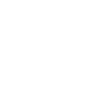 种类图标